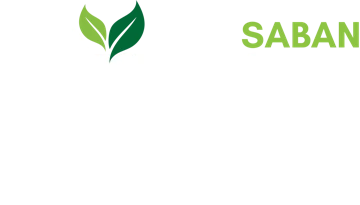 Saban Orman Evleri